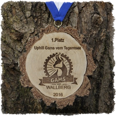 Holzmedaille Holzmedaille Baumscheibenmedaille Birke mit Rinde Uphill Gams vom Tegernsee 2016