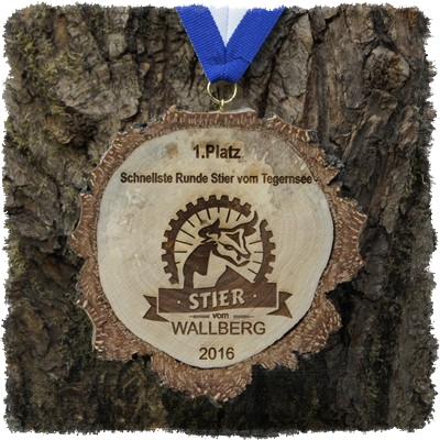 Holzmedaille Holzmedaille Baumscheibenmedaille Birke mit Rinde  Schnellste Runde Stier vom Tegernsee 2016