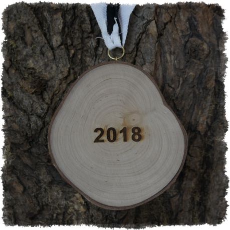 Holzmedaille Holzmedaille Baumscheibenmedaille Birke mit Rinde, Neureuth Sprint 2016