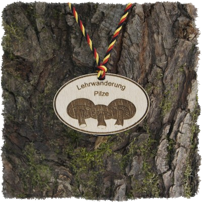 Sperrholzmedaille, Holzmedaille oval 70 x 45 mm.